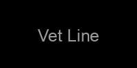 Vet Line